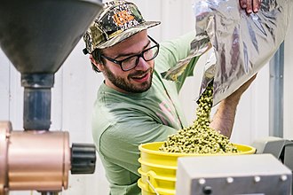 Craft beer brewing team working process